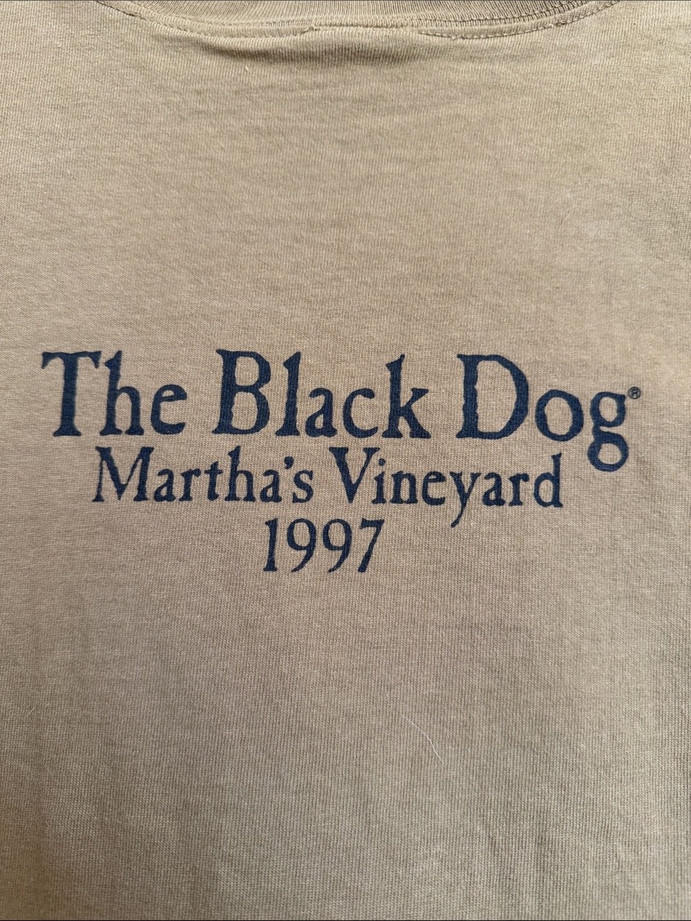 The Black Dog Olive Brown Long-Sleeve Tee - Picture 3 of 6